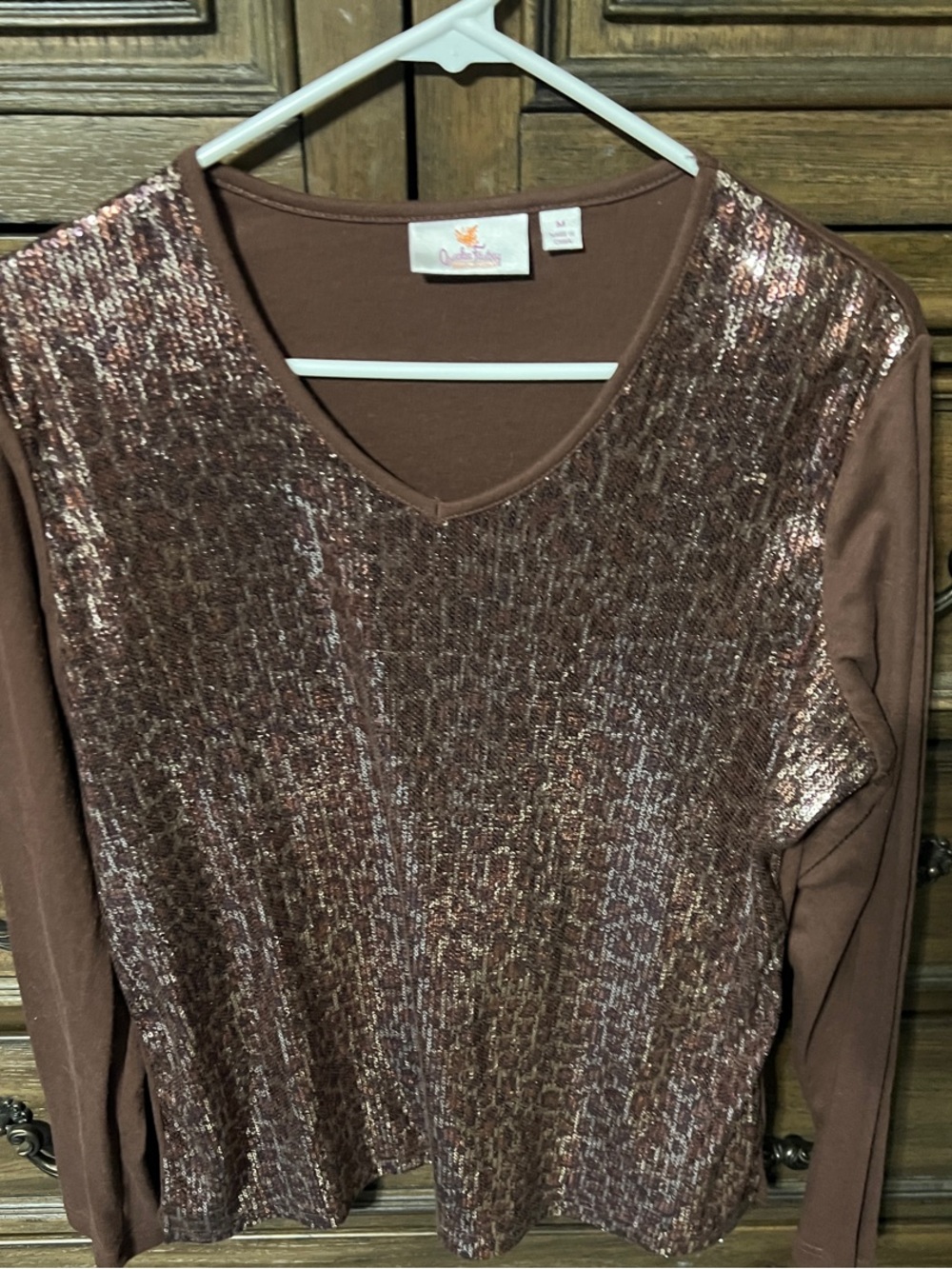 Sequin-Front V-Neck Long Sleeve Top in Metallic Brown